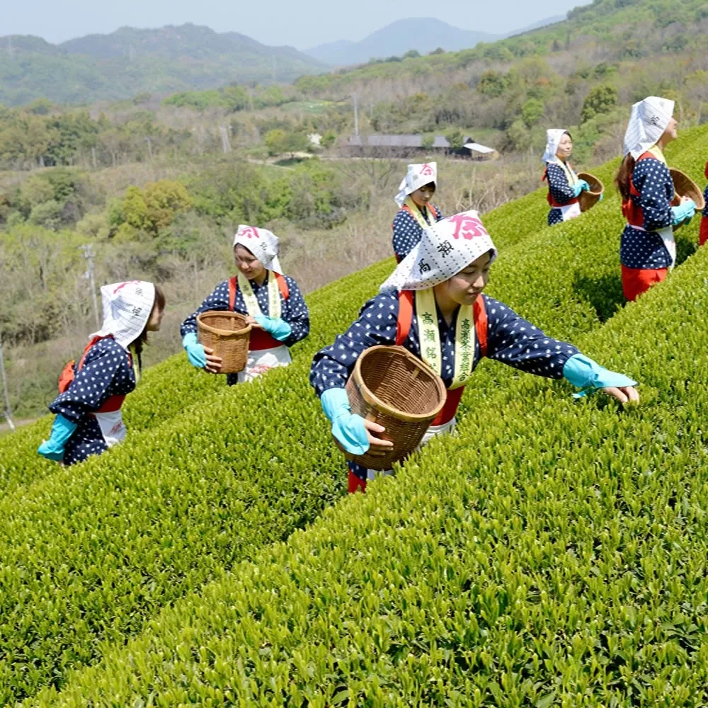 一杯好的茶，會讓您喝了持續的回甘，總是想起那味道。
